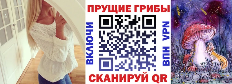 мега онион  Кореновск  Галлюциногенные грибы GOLDEN TEACHER 